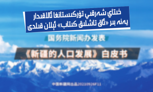 خىتاي شەرقىي تۈركىستانغا ئالاقىدار يەنە بىر «ئاق تاشلىق كىتاب» ئېلان قىلدى