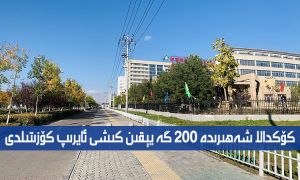 كۆكدالا شەھىرىدە 200 گە يېقىن كىشى ئايرىپ كۆزىتىلدى