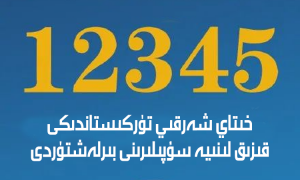 خىتاي شەرقىي تۈركىستاندىكى قىزىق لىنىيە سۇپىلىرىنى بىرلەشتۈردى