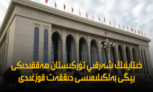 خىتاينىڭ شەرقىي تۈركىستان ھەققىدىكى يېڭى بەلگىلىمىسى دىققەت قوزغىدى