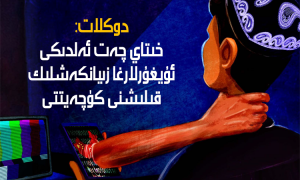 دوكلات: خىتاي چەت ئەلدىكى ئۇيغۇرلارغا زىيانكەشلىك قىلىشنى كۈچەيتتى