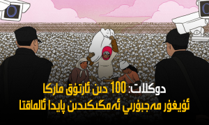 دوكلات: 100 دىن ئارتۇق ماركا ئۇيغۇر مەجبۇرىي ئەمگىكىدىن پايدا ئالماقتا