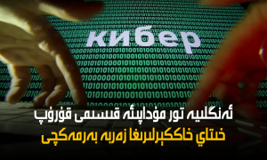 ئەنگلىيە تور مۇداپىئە قىسىمى قۇرۇپ خىتاي خاككېرلىرىغا زەربە بەرمەكچى