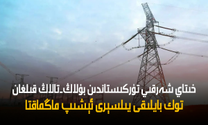 خىتاي شەرقىي تۈركىستاندىن بۇلاڭ-تالاڭ قىلغان توك بايلىقى يىلسېرى ئېشىپ ماڭماقتا