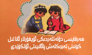 ھەرقايسى دۆلەتلەردىكى ئۇيغۇرلار ئانا تىل كۈنىنى تەبرىكلەش پائالىيىتى ئۆتكۈزدى