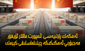 ئەمگەك پارتىيەسى: ئىمپورت ماللار ئۇيغۇر مەجبۇرىي ئەمگىكىگە چېتىلماسلىقى كېرەك