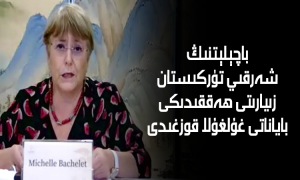 باچېلېتنىڭ شەرقىي تۈركىستان زىيارىتى ھەققىدىكى باياناتى غۇلغۇلا قوزغىدى