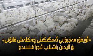 «ئۇيغۇر مەجبۇرىي ئەمگىكىنى چەكلەش قانۇنى» بۇ ئايدىن باشلاپ ئىجرا قىلىنىدۇ