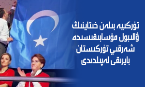 تۈركىيە بىلەن خىتاينىڭ ۋالىبول مۇسابىقىسىدە شەرقىي تۈركىستان بايرىقى لەپىلدىدى