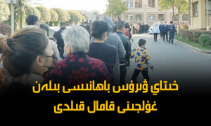 خىتاي ۋىرۇس باھانىسى بىلەن غۇلجىنى قامال قىلدى