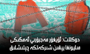 دوكلات: ئۇيغۇر مەجبۇرىي ئەمگىكى مىليونغا يېقىن شىركەتكە چېتىشلىق