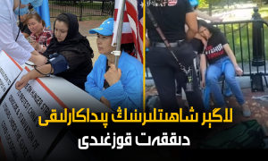 لاگېر شاھىتلىرىنىڭ پىداكارلىقى دىققەت قوزغىدى