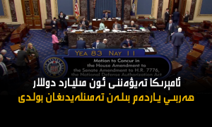 ئامېرىكا كېڭەش پالاتاسى تەيۋەننى ئون مىليارد ھەربىي ياردەم بىلەن تەمىنلەيدىغان بولدى