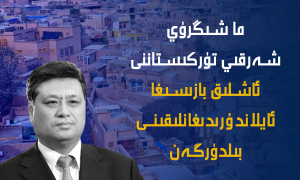 ما شىڭرۈي شەرقىي تۈركىستاننى ئاشلىق بازىسىغا ئايلاندۇرىدىغانلىقىنى بىلدۈرگەن