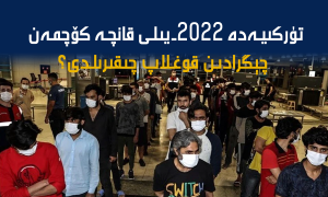 تۈركىيەدە 2022-يىلى قانچە كۆچمەن چېگرادىن قوغلاپ چىقىرىلدى؟