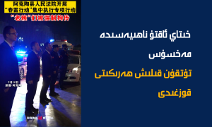 خىتاي ئاقتۇ ناھىيەسىدە مەخسۇس تۇتقۇن قىلىش ھەرىكىتى قوزغىدى