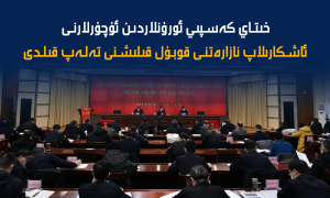 خىتاي كەسپىي ئورۇنلاردىن ئۇچۇرلارنى ئاشكارىلاپ نازارەتنى قوبۇل قىلىشنى تەلەپ قىلدى