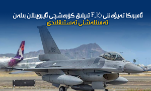 ئامېرىكا تەيۋەننى F-16 تىپلىق كۈرەشچى ئايروپىلان بىلەن تەمىنلەشنى تەستىقلىدى