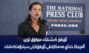 ئۇيغۇر كىشىلىك ھوقۇق تۈرى: ئامېرىكا-خىتاي ھەمكارلىقى ئۇيغۇرلارنى سېتىۋەتكەنلىك