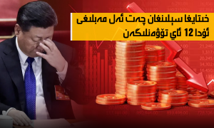 خىتايغا سېلىنغان چەت ئەل مەبلىغى ئۇدا 12 ئاي تۆۋەنلىگەن