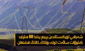 شەرقىي تۈركىستاندىن يېرىم يىلدا 60 مىليارد كىلوۋات سائەت توك بۇلاڭ-تالاڭ قىلىنغان