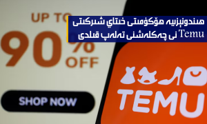 ھىندونېزىيە ھۆكۈمىتى خىتاي شىركىتى Temu نى چەكلەشنى تەلەپ قىلدى