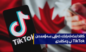 كانادا بىخەتەرلىك خەۋپى سەۋەبىدىن TikTok نى چەكلىدى