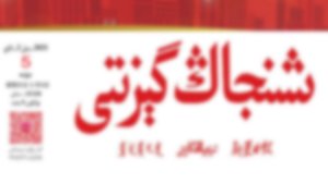 «شىنجاڭ گېزىتى»دە ئېلان قىلىنغان ماقالە خىتاينىڭ بىر قىسىم جىنايەتلىرىنى دەلىللىدى