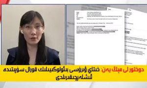 دوختۇر لى مېڭيەن: خىتاي ۋىرۇسى بىيولوگىيەلىك قورال سۈپىتىدە ئىشلەپچىقىرىلدى