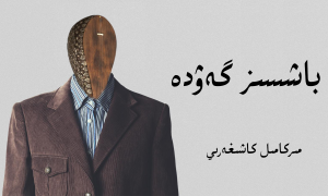 باشسىز گەۋده